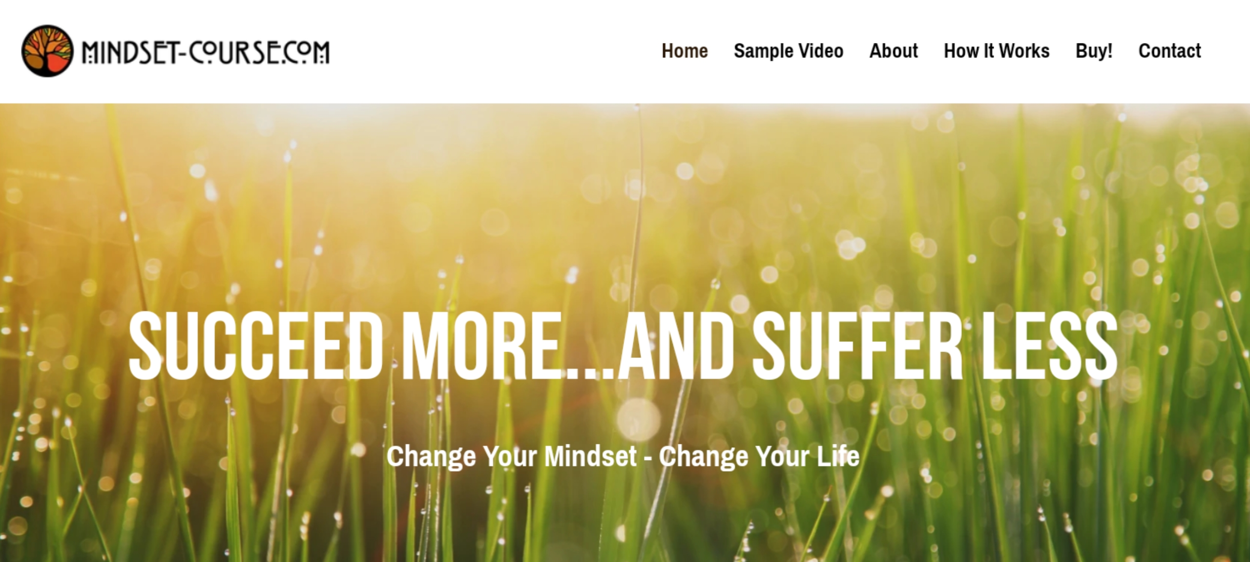 Online Coaching Online Coaching